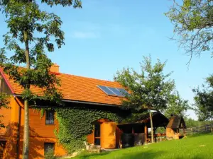 Agroturystyka Zacisze Czarna Owca