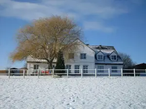 Moorberghof