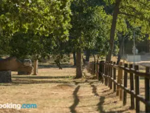 Casa Rural la Rana