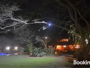 Bushbaby Lodge & Camping