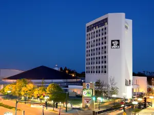 The Hotel Hot Springs