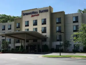 SpringHill Suites Winston-Salem Hanes Mall
