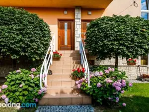 BeeApartments Żywiecka 49