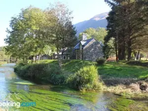 Granar Gynolwyn