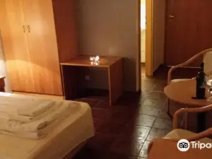 斯奈山北星酒店