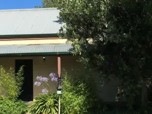 Kentia Palms