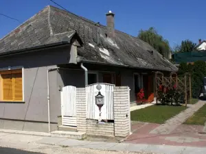 Falusi Vendeghaz