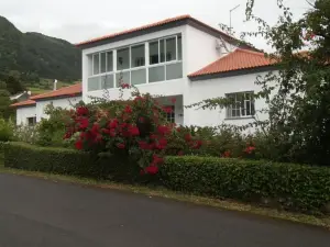 Tropical Fruit Garden