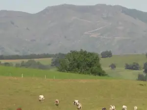 Guéraçague Etcheverry Garaya