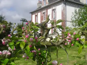 La Pommeraie