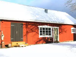 Stordrågen