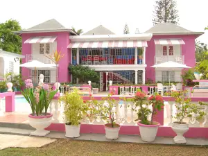 PinkHibiscus Guest House