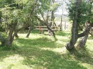 Cabañas Rincon del Sur