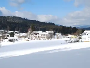 Ferien-Hotel Riesberghof
