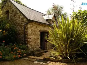 Les Pieds Dans l'Herbe