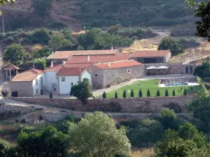 Quinta da Picoila