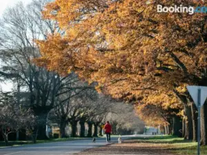 Goldies on Piper Kyneton