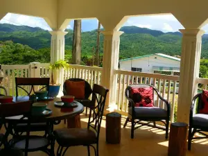 Lakeview Manor B&B Moneague