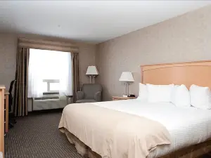Paradise Inn and Suites