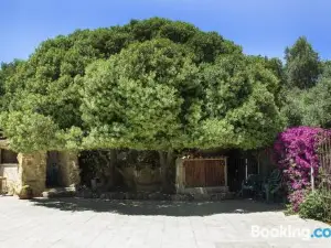 Agriturismo Il Paradiso