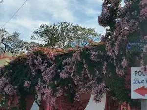 Pousada Lua Cheia