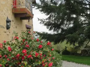 Ecrin de Verdure