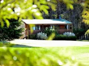 Diamond Forest Farm Stay