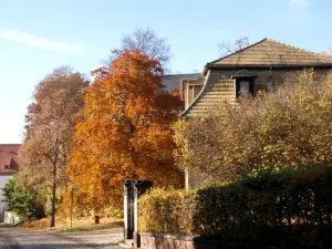 Hofgärtnerei