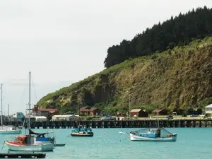 Oamaru Green Cottage