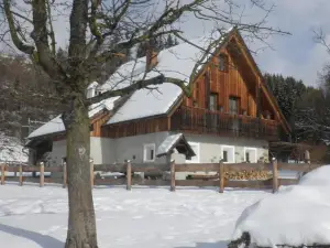 Ferienhaus "Zur Alten Schmiede"