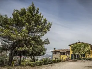 Il Poggio Delle Ginestre