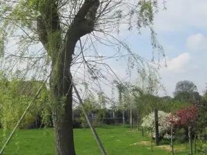 Haus am Park