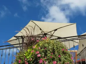 Tourist Farm Pri Andrejevih