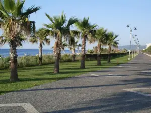 La Baia di Nettuno Il Gatto e la Volpe
