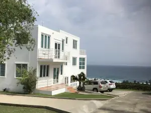 Secret View