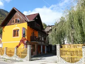 Pensiunea Irina 1 si 2