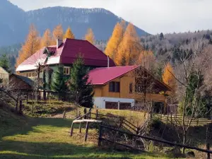Raw Nature Cabin