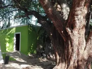 Cabañas Camping Ria Celestun