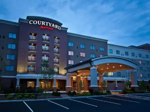 Courtyard Buffalo Airport