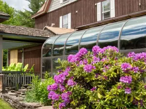 Pine Hill Arms Hotel