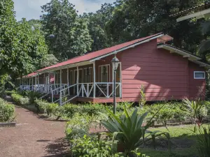 Caribbean Paradise Eco-Lodge