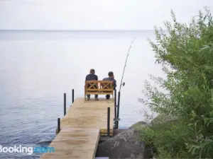 Vaino Turismitalu