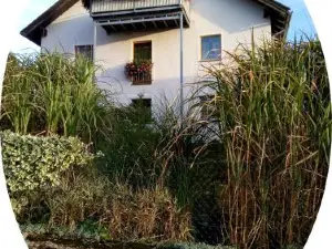 Ferienwohnung Uschkereit