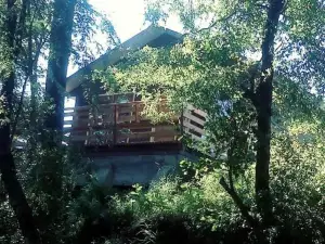 El Rincon de la Olguita
