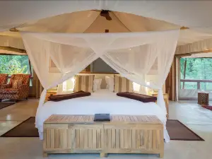 Tuli Safari Lodge