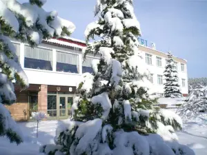 Panorama Ferien Hotel Harz