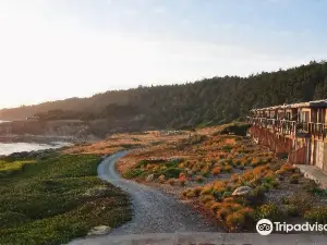 Timber Cove Resort
