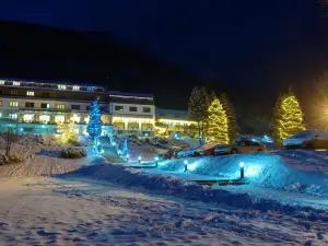 Hotel Troyer