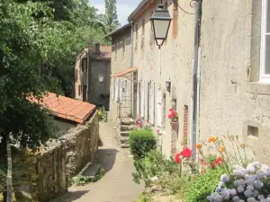 Village de Gîtes du Moulin Neuf