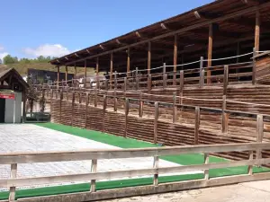 Apartamento Turistico Cigüeña de Arguedas